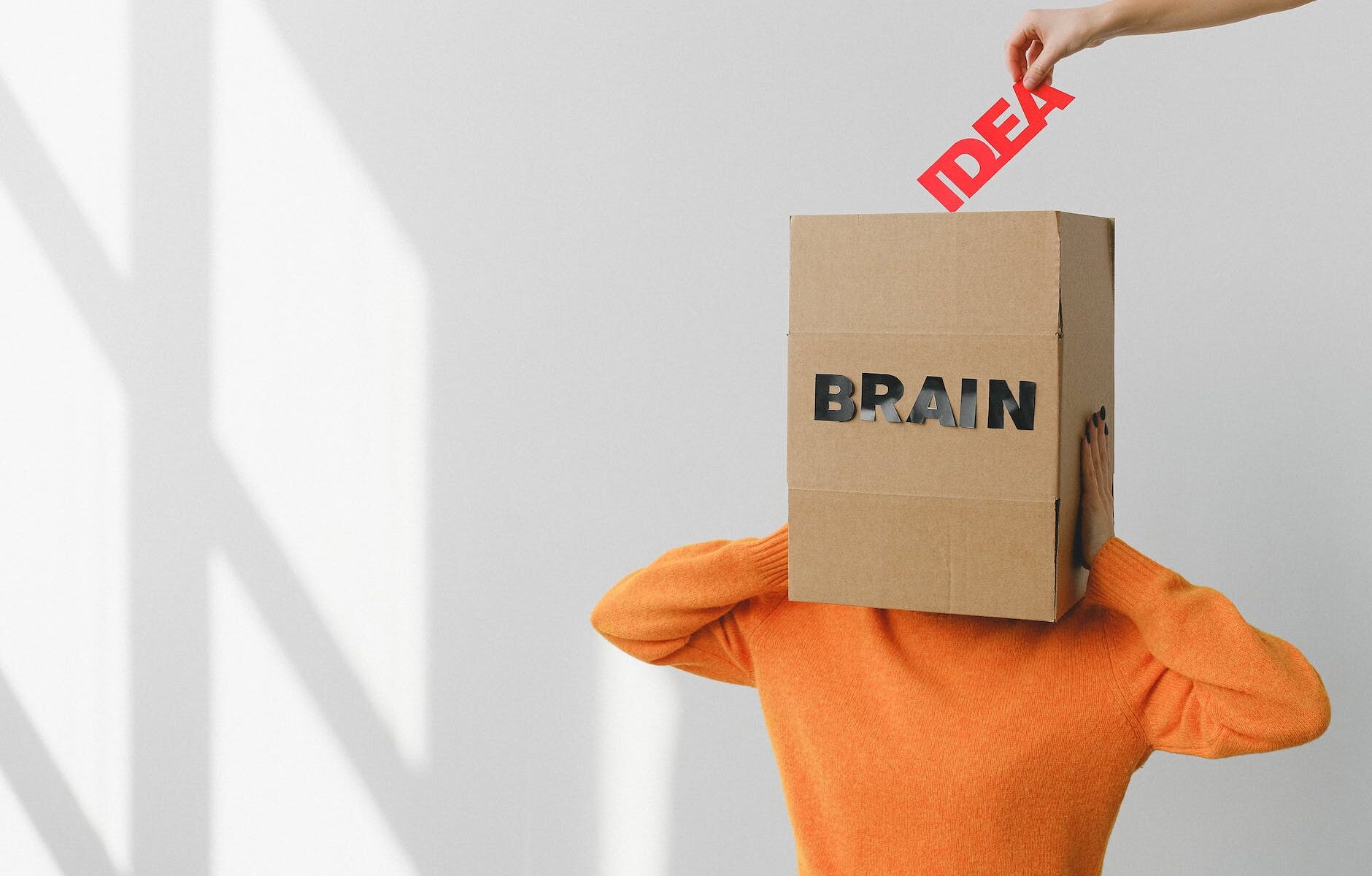 box with brain inscription on head of anonymous woman